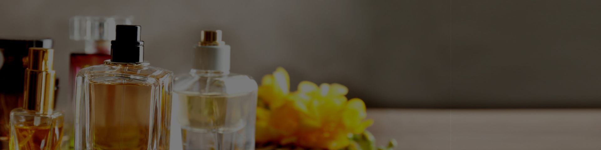 International Fragrance Shop - Stores