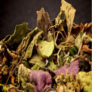 Patchouli Scent